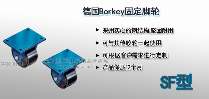 SF型Borkey固定腳輪圖片